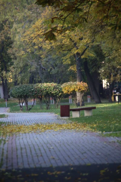 Der Herbst Hat Sich Den Schlafplatz Eingeschlichen — Stockfoto