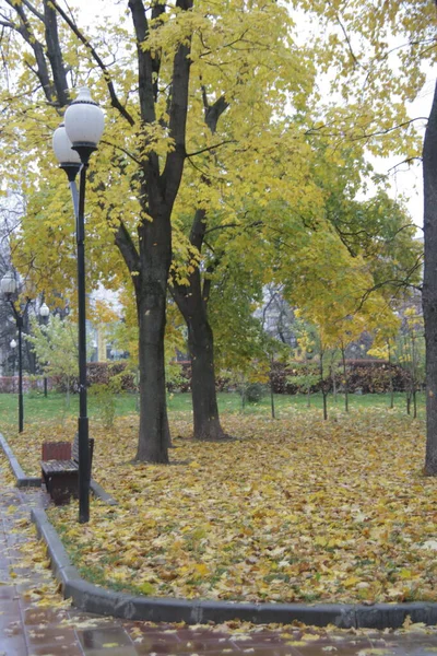 Autunno Piovoso Triste Giorno Caldo — Foto Stock