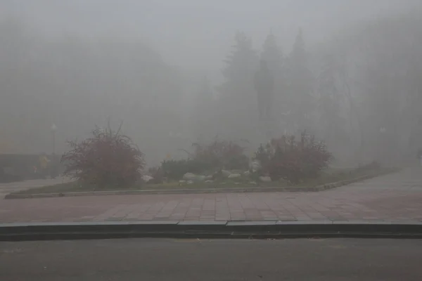 Sonbahar kenti sokaklarında sisli bir sabah