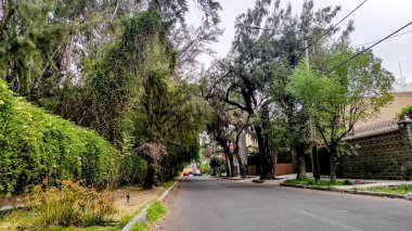 Hayvanlara barınak olan ağaçlarla dolu parklar.