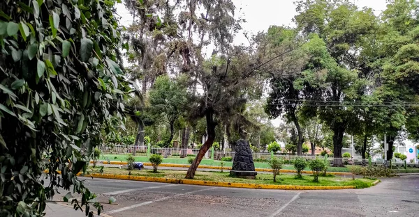 Parques Cheios Árvores Que Servem Refúgio Para Animais — Fotografia de Stock