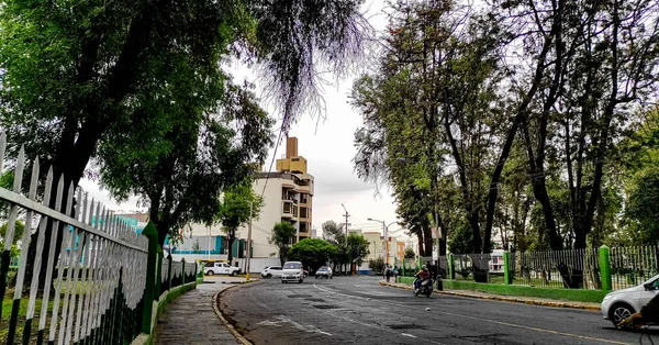 Parques Llenos Árboles Que Sirven Refugio Los Animales —  Fotos de Stock