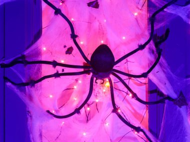 Cadılar Bayramı için örümcek ağında sürünen dev siyah örümcek.