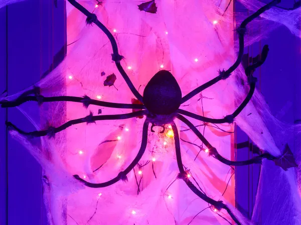 Giant Black Spider Crawling Cob Web Halloween Night Home Decor — Stock Photo, Image