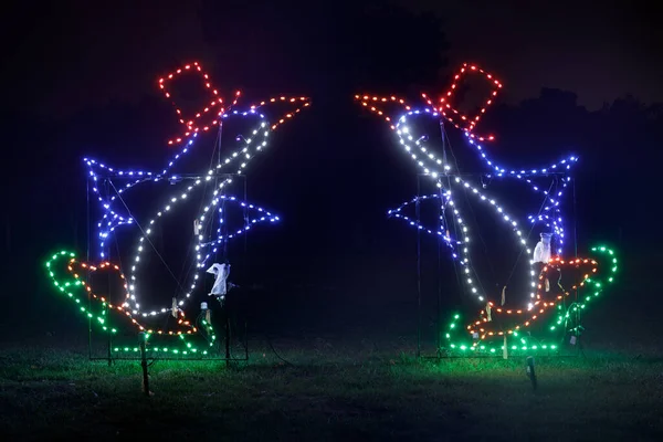 Penguins Dancing Christmas Fantasy Lights Los Gatos California — Stock Photo, Image
