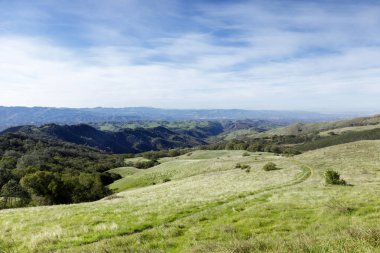 Diablo Dağı kış manzarası Wildcat Grup Kampı yakınlarındaki South Gate Yolu 'ndan geçiyor. Mount Diablo Eyalet Parkı, Contra Costa County, Kaliforniya, ABD.