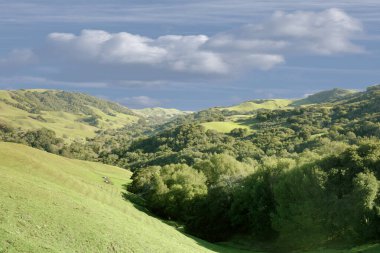 Las Trampas Wilderness Bölge Parkı, Alameda ve Contra Costa Counties, Kaliforniya, ABD 'de kış manzarası.