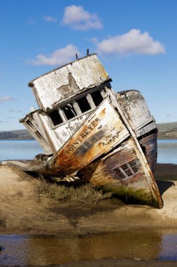S.S. Point Reyes, 100 yıl önce Tomale Körfezi 'nde bir kum yığınına çakılmış bir buharlı gemi. Inverness, Point Reyes National Seashore, Marin County, California, ABD.
