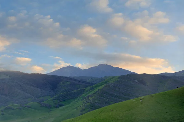 美国加利福尼亚州科斯塔县圆谷地区保护区迪米塞罗火山上空的冬日落山 — 图库照片
