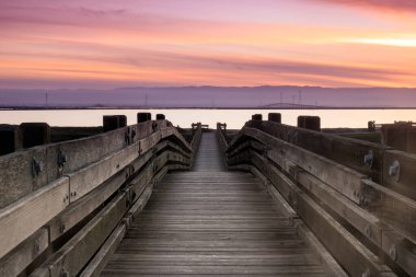 San Francisco Körfezi ve Dumbarton Köprüsü üzerinden Don Edwards San Francisco Körfezi Ulusal Yaban Hayatı Sığınağı, Alameda County, Kaliforniya, ABD.