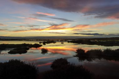 Bataklık Günbatımı Yansımaları, San Jose, Kaliforniya 'daki Don Edwards Vahşi Yaşam Sığınağı aracılığıyla..