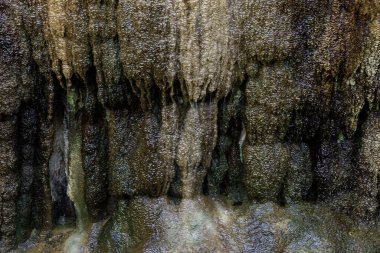Alum Rock Park 'taki Tarihi Mineral Springs' te kaya oluşumu. San Jose, Kaliforniya, ABD.