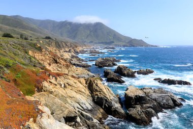 Carmel ve Big Sur arasındaki Garrapata Eyalet Parkı Sahil Hattı, Kaliforniya, ABD.