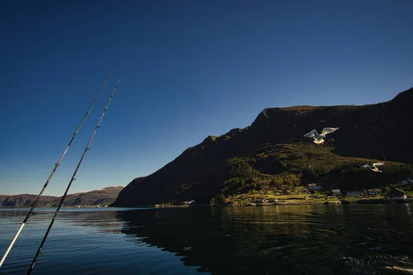 Vacanza Pesca Selje Norway Asta Mulinello Sono Pronti Pescare Paradiso — Foto Stock