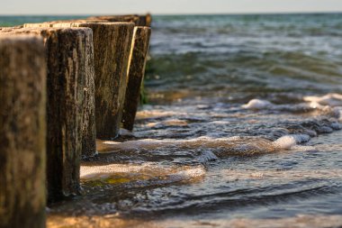 Groynes denize dalıyor. Darss 'ta zingst' i aldı. perspektif ufka yönelir