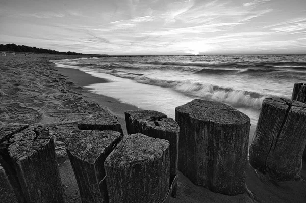 Groynes Mar Báltico Preto Branco Com Muita Estrutura Tomado Zingst — Fotografia de Stock