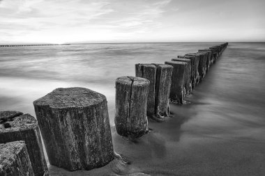 Baltık Denizi 'ndeki Groyne' ler büyük bir yapıya sahip siyah beyaz. Zingst 'te çekilmiş.