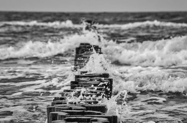 Groynes Plaży Morza Bałtyckiego Zingst Fale Rozbijają Się Drewnie Chronią — Zdjęcie stockowe