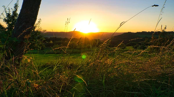 Sonnenuntergang Saarland Auf Einer Wiese Mit Bäumen Und Blick Ins — Stockfoto
