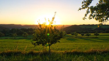 Saarland 'da bir çayırda gün batımında ağaçlar ve vadi manzarası. Sıcak hava turuncu, kırmızı ve altın renginde.