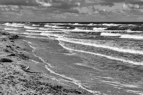 Bałtyckiej Plaży Morskiej Chmurami Wydmami Plażą Czerni Bieli Rekreacja Wakacjach — Zdjęcie stockowe