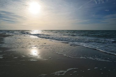 Baltık Sahili 'nin batı sahilinde. Detaylı ve dokulu natürmort. güzel tatil yeri