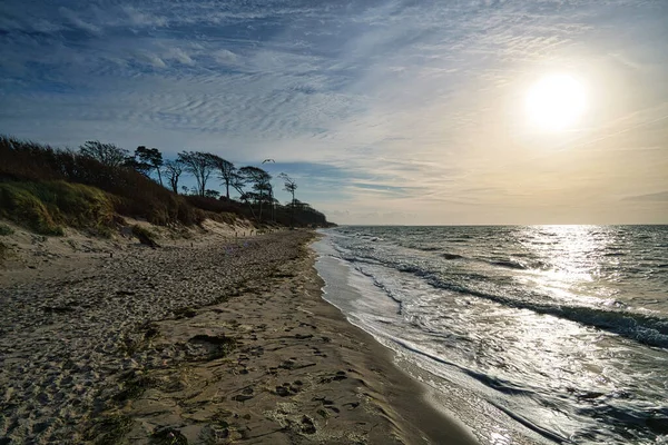 West Beach Baltikumi Tengerparton Részletes Texturált Csendélet Gyönyörű Nyaralás Helyszínen — Stock Fotó