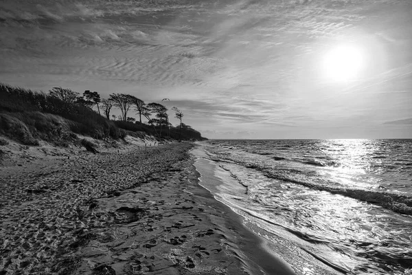 Spiaggia Ovest Sul Mar Baltico Raffigurata Bianco Nero Ricca Dettagli — Foto Stock