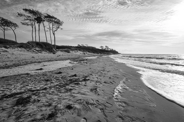 해변은 흑백으로 묘사되어 세부적 구조적으로 풍부하지만 — 스톡 사진