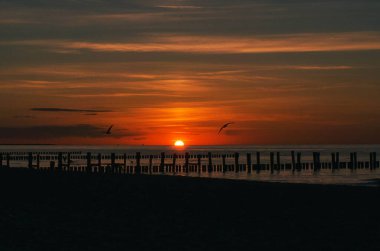 Denizde Zingst 'te gün batımı. Kırmızı turuncu güneş ufuktan batıyor. Martılar gökyüzünde daireler çiziyor. Sizi rüya görmeye davet eden güzel bir ışık atmosferi. Bir sonraki tatil gelebilir.