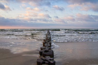 Zingst 'teki Baltık Denizi sahilinde Groynes. Dalgalar tahtada kırılır. Alman Baltık Denizi 'ni dalgalardan koruyorlar. Ayrıca, bakmak için de çok güzeller..