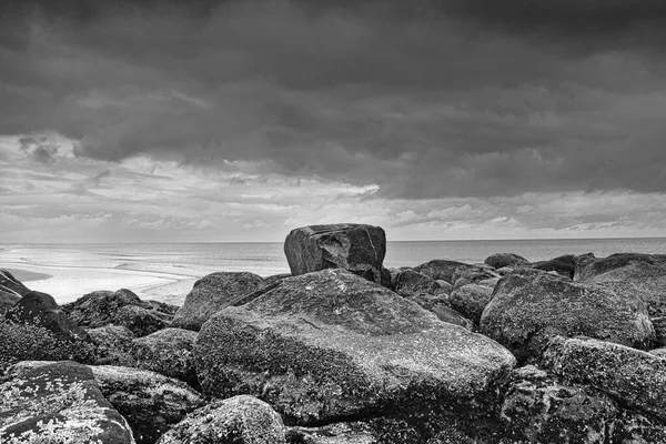 Sten Groyne Vid Havet Danmark Svart Och Vitt Med Mycket — Stockfoto