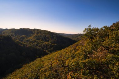 Geierlay asma köprüsünden manzara. Yürüyüş için güzel bir manzara.