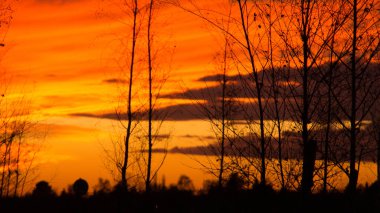 Ağaçların arkasında yanan gökyüzü ile gün batımı. güçlü sıcak renkler