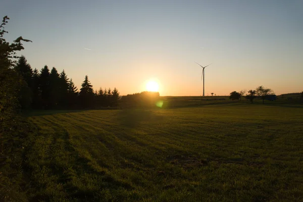 Wind Turbine Hill Front Field Edge Forest Sunset Renewable Energy — Stock Photo, Image