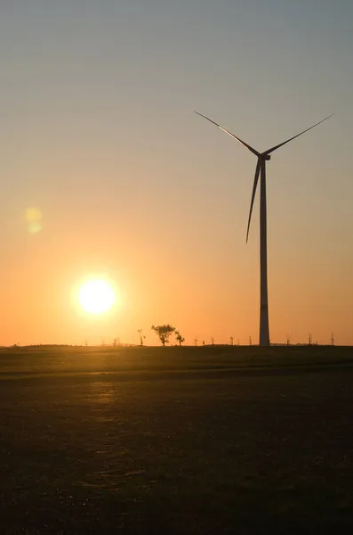 Wind Turbine Hill Front Field Edge Forest Sunset Renewable Energy — Stock Photo, Image