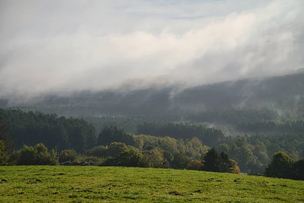 Dimma Som Rör Sig Över Skogen Höststämning Saarland Naturen Inbjuder — Stockfoto