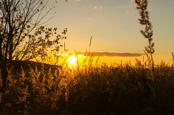 Sonnenuntergang Stadtrand Von Berlin Der Himmel Scheint Brennen Romantischer Abendhimmel — Stockfoto