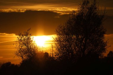 Ağaçların arkasında yanan gökyüzü ile gün batımı. güçlü sıcak renkler