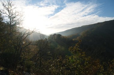 Küçük Saar döngüsünün dağlarında gün doğumu. Saarland 'daki Saar Nehri' nde mistik bir sessizlik. Sis dağılır.