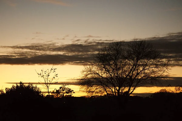 Sonnenuntergang Mit Brennendem Himmel Hinter Den Bäumen Kräftige Warme Farben — Stockfoto