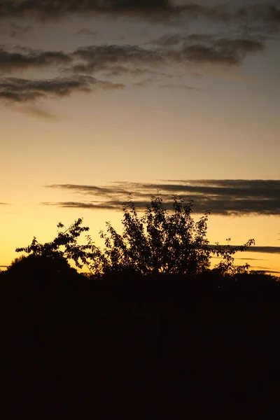 Pôr Sol Com Céu Ardente Atrás Das Árvores Cores Quentes — Fotografia de Stock