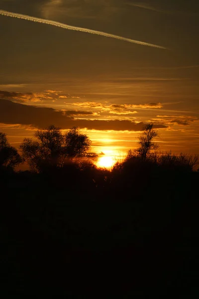 Sonnenuntergang Mit Brennendem Himmel Hinter Den Bäumen Kräftige Warme Farben — Stockfoto