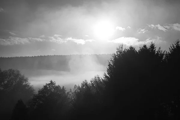 黎明时分 天将大雾笼罩 神秘的气氛 — 图库照片