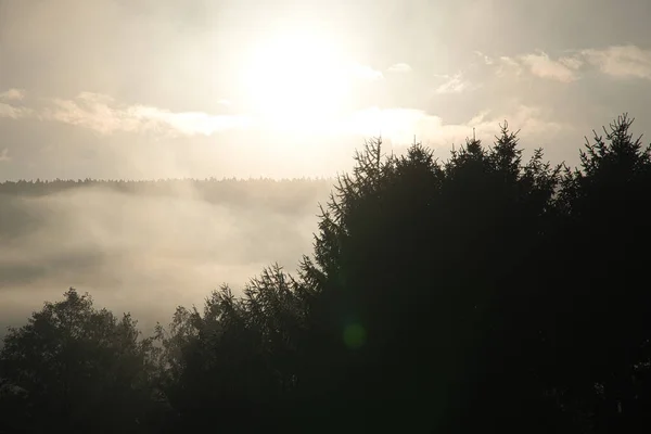 Nascer Sol Com Nevoeiro Nas Primeiras Horas Manhã Atmosfera Mística — Fotografia de Stock