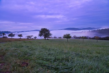 Sabah sisli bir çayırdaki ağaçtan mor bir ışık esiyor. Arka planda küçük dağlar, damak tadındaki tepeler..