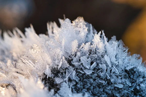 Κρύσταλλοι Πάγου Που Έχουν Σχηματιστεί Κορμό Δέντρου Και Έχουν Αυξηθεί — Φωτογραφία Αρχείου