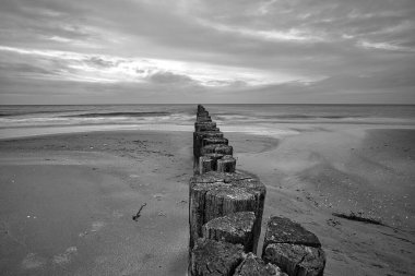 Baltık Denizi 'ndeki Groyne' ler siyah-beyaz, denize dökülen bir sürü yapı var. Zingst plajında çekildi.