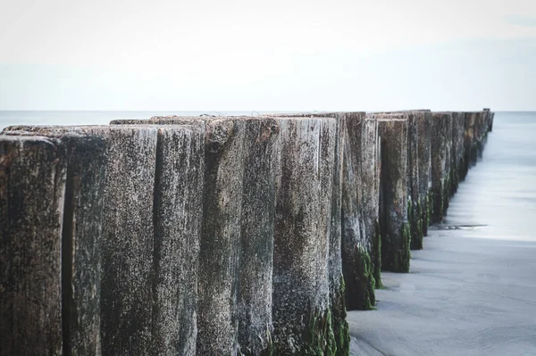 Groynes Jutting Στη Θάλασσα Πιάστηκε Στο Zingst Στο Darss Προοπτική — Φωτογραφία Αρχείου