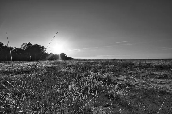 View Dunes Baltic Sea Sunset Black White Radiant Light Mood — 图库照片